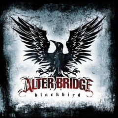 Alter Bridge - Metalingus [guitar cover]