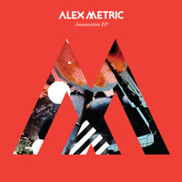 Alex Metric - Anybody Else
