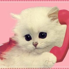 C. Hit Spin Could Form He