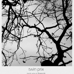 Twin Prix - Not Your Friends