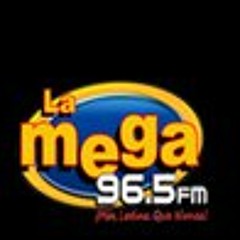 SALSA DE LA VIEJA 2
