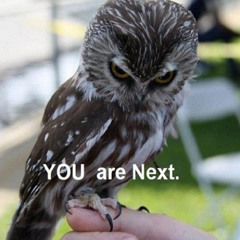 Samenloop van omstandigheden