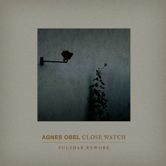 Agnes Obel - Close Watch (Pulshar Rework)