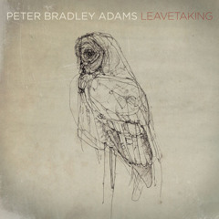 The Longer I Run - Peter Bradley Adams