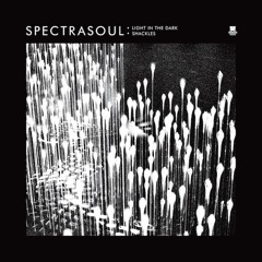SpectraSoul - Light In The Dark ft. Terri Walker