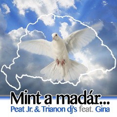 Peat jr. & Trianon Dj's Feat. Gina - Mint a Madár... ( Miklov remix prew)