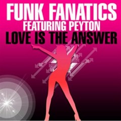 2009 - Love Is The Answer (Freemasons Original Mix)
