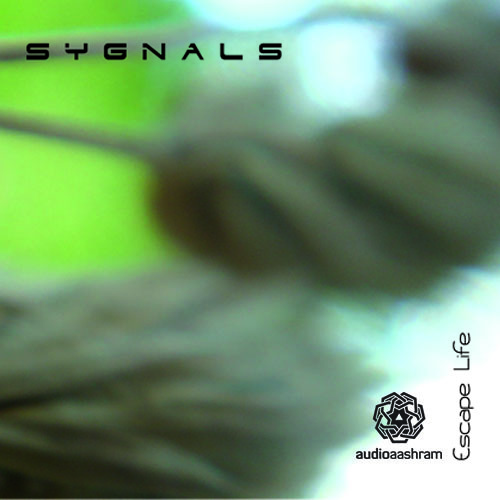 Selfrestrained Angel