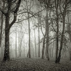 Inclination Of The Asymmetry