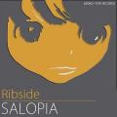 Ribside - Salopia (Discomendments Remix)