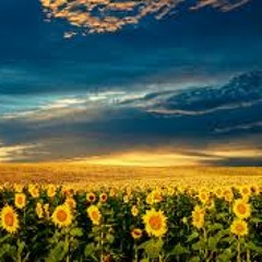 Mirabela Dauer, Mihaela Runceanu, Adrian Daminescu, Gabriel Cotabita - Deschideti poarta soarelui