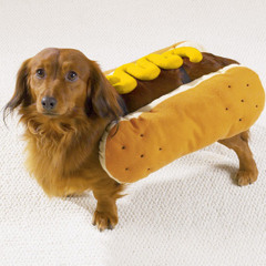 I Am A Hot Dog