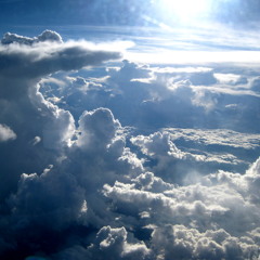 Grenade Zellweger - Rapture