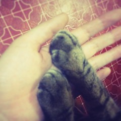 平行線 2012-03-22  [iPhoneで制作]