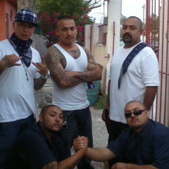 REYNOSA BAJO FUEGO ( CRAZY FAMILY Y BROWN REVOLUTION