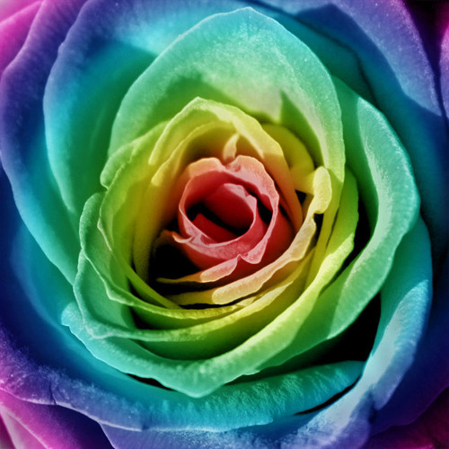 Feliz cumpleaños - Interpuesto