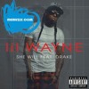Lil Wayne Ft Drake She Will Instrumental Mp3