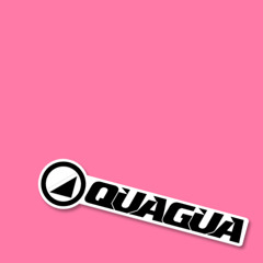 QUAGUA - FANATIC (Original Mix)