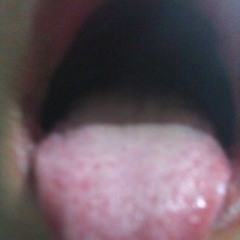 Opera2-vitas(試作）