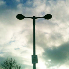 Many Hands by Martin Montgomery