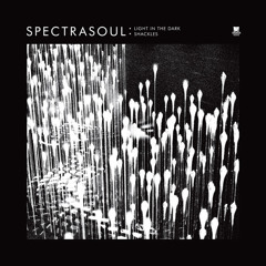 SpectraSoul - Light In The Dark (Feat. Terri Walker)