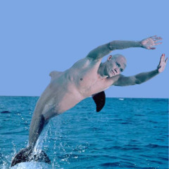 The World of Human-Dolphin