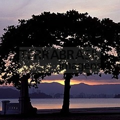 Porto da Perdição - Grito de Rua