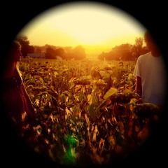 Systemik - Dream Reading