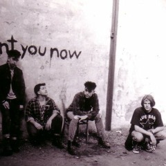 Das Alibi Projekt - Todesträume