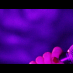 Desire (new single 2012)