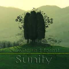 Bewitched forest