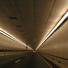 Carefully care for them