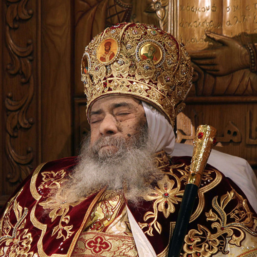 elbaba shenoda
