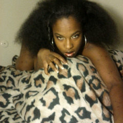 30 Seconds To Mars- The Kill (Snippet Cover)