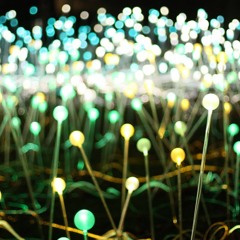 ESHO FUNI - A bit high