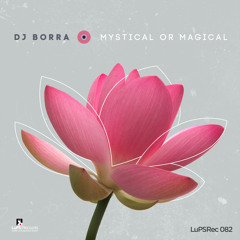 DJ Borra - Mystical Or Magical (Tim Robert Remix) excerpt [LuPS Records]