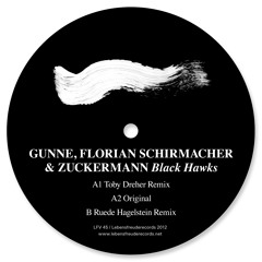 Gunne, Florian Schirmacher & Zuckermann - Black Hawks -Toby Dreher Remix