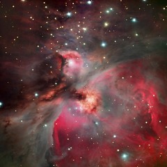Gato de Schrödinger - Passage to Orion Nebula