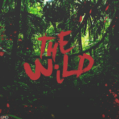 01 The Wild