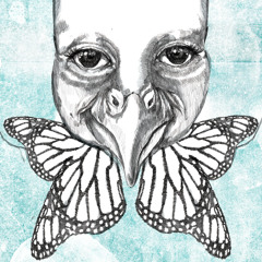 Fóssil - Marraquexe