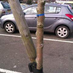 United by Jennifer Fairgrieve