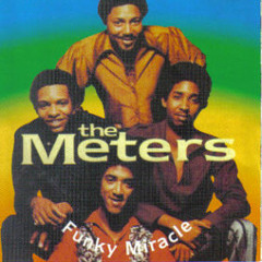 The Meters - Funky Miracle