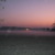 Artwork for Morning sound of Sridham Mayapur-2012-02-20_05-40