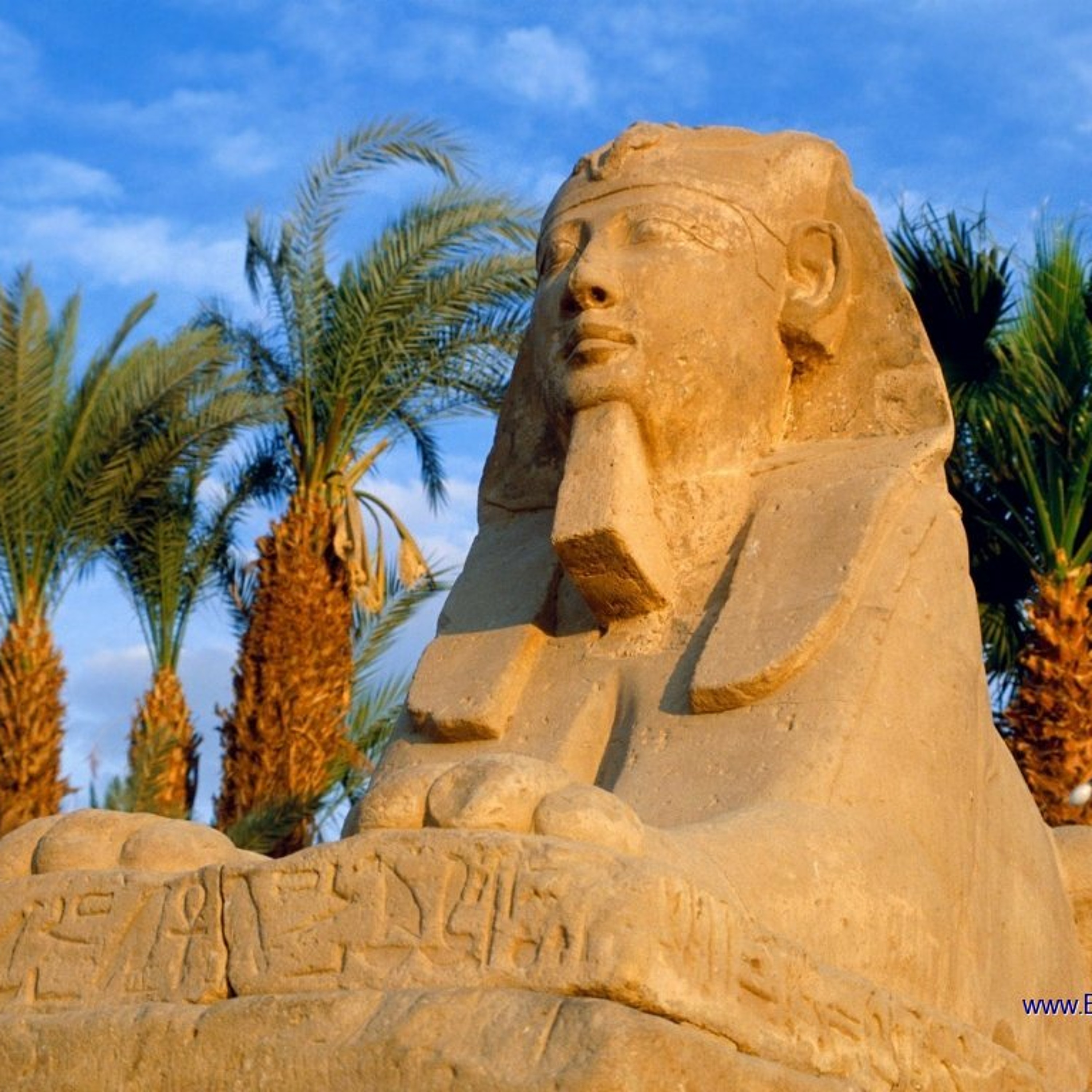 DJ4Kat - Sphinx Dance Riddim [Re-Edited Instrumental] episode artwork