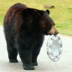 Got me ah hub cap! (unfinished)