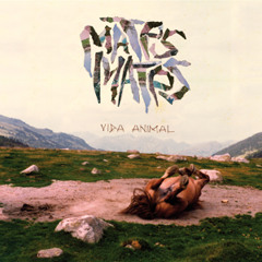 Mates Mates - El Pinsà