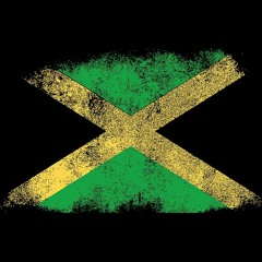 Vintage Riddim Mix Vol.1 - DJ Seedem