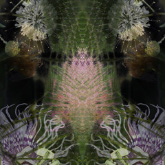 The Mushroom Ball (just for frills)