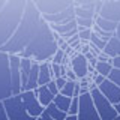 I Can't Tell You What You're Thinking