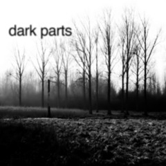 Perfume Genius - Dark Parts (Schwarzwald 'Long Gone' Edit)